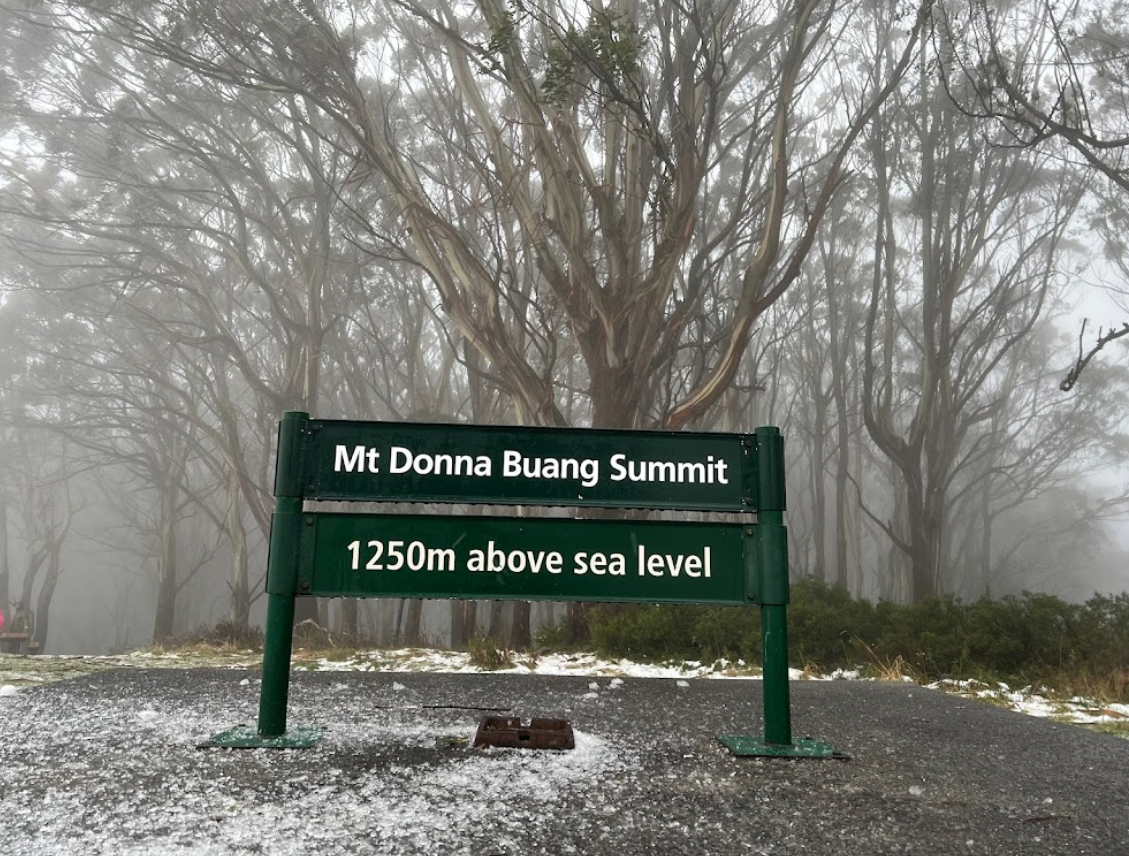 [DRAFT-REAL] Mt Donna Buang Summit