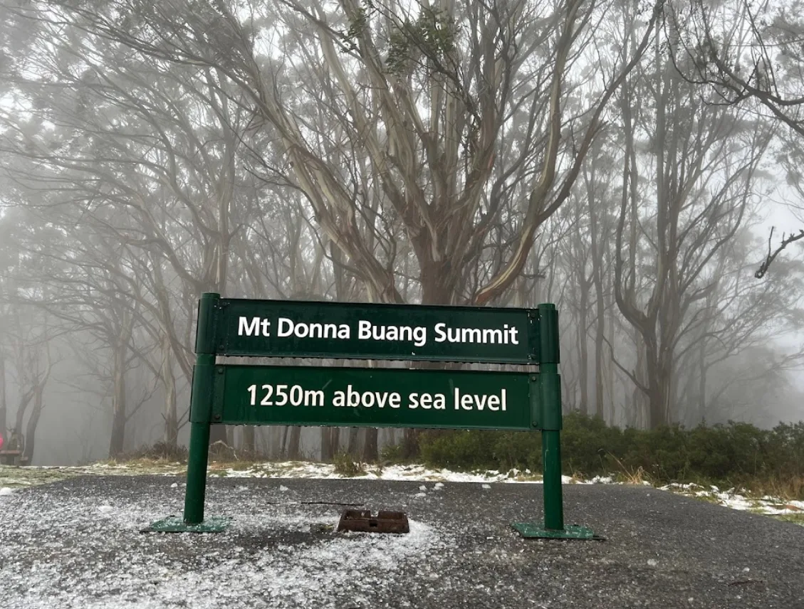 Mt Donna Buang Summit