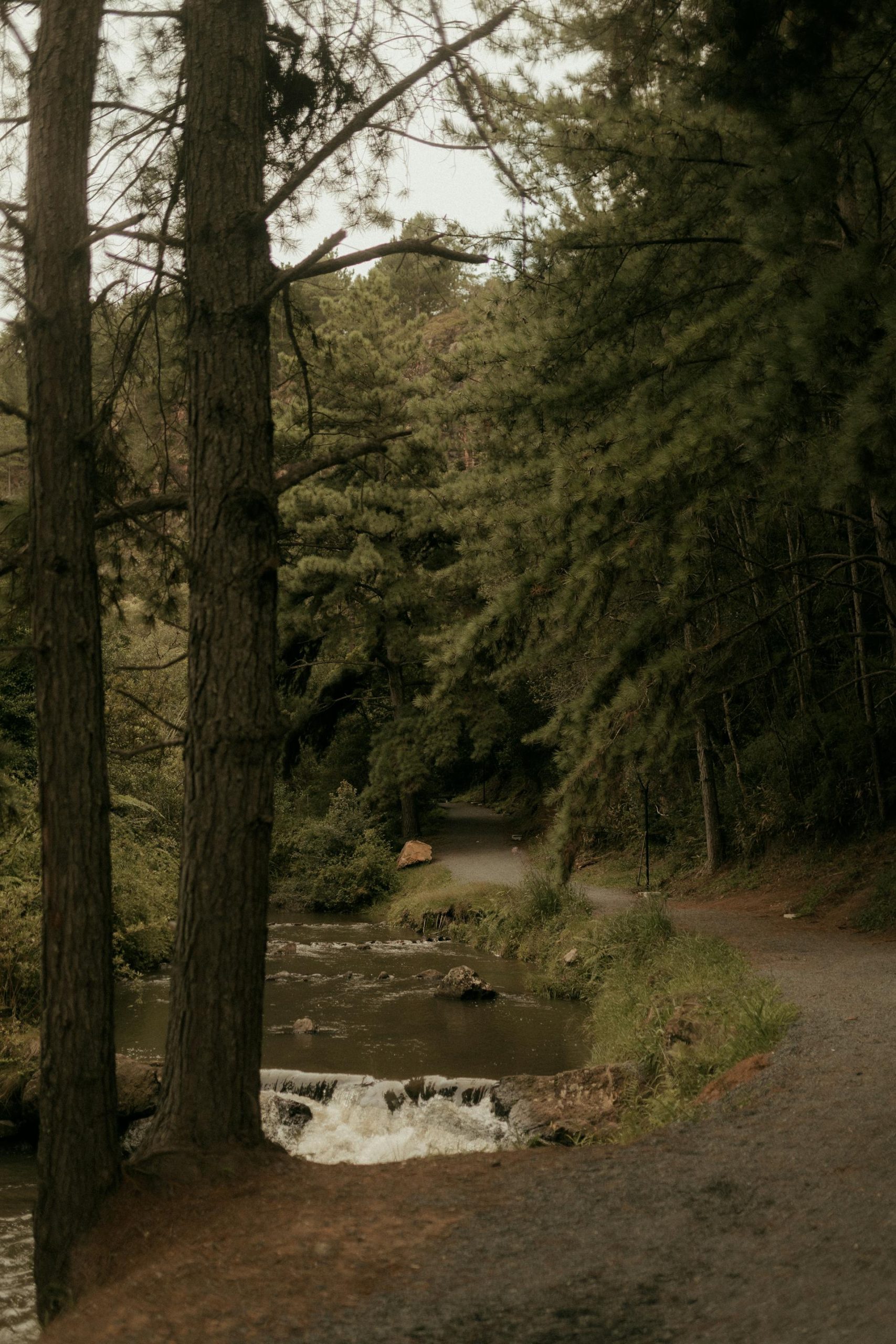 [SAMPLE] Family Day in Warburton