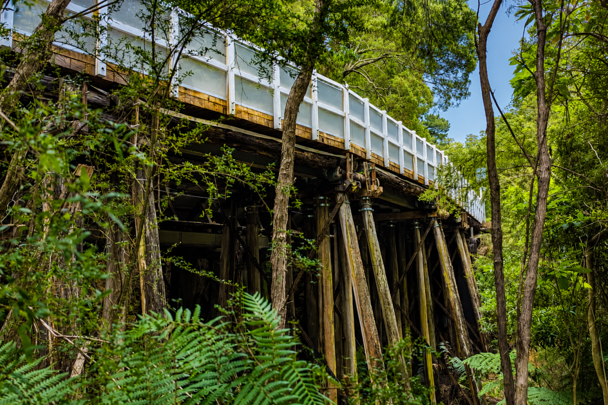 The restored timber trestle of Dee Slip Bridge crossing a fern gully on the O'Shannassy Aqueduct Trail