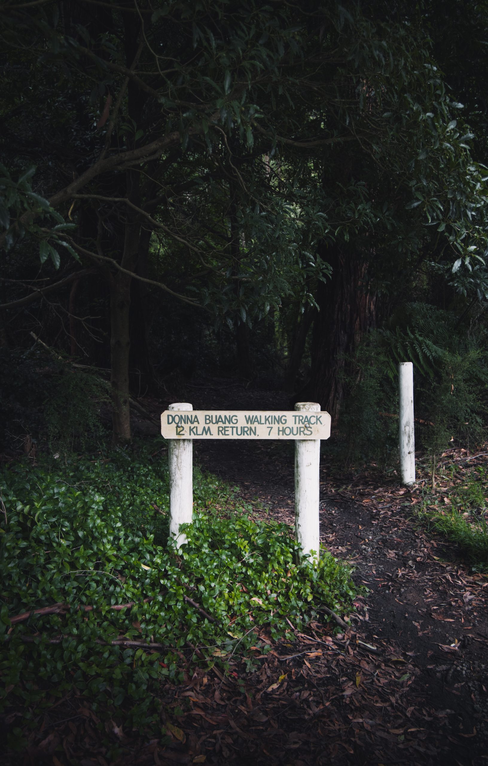[DRAFT-REAL] Yarra Ranges National Park