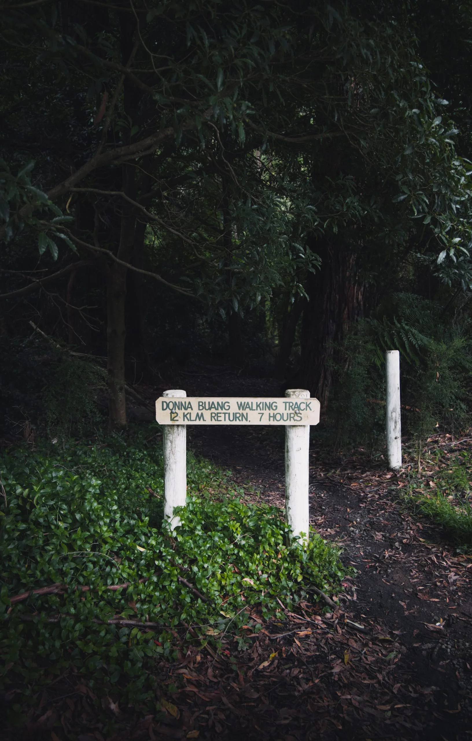 Yarra Ranges National Park