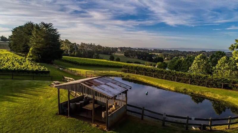 A vineyard dam with a timber shelter and rolling hills beyond