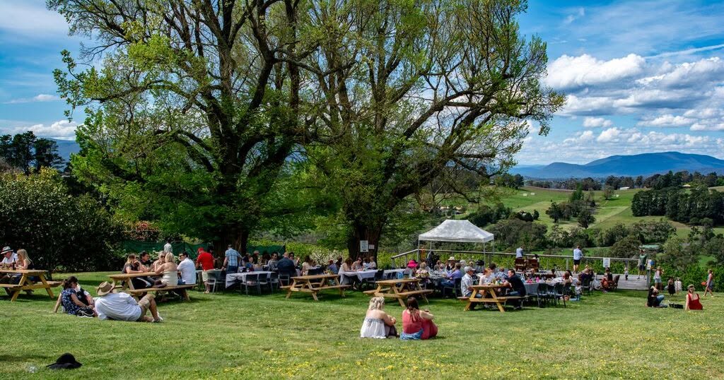 People picnicking on a lawn under big trees, with hills in the distance