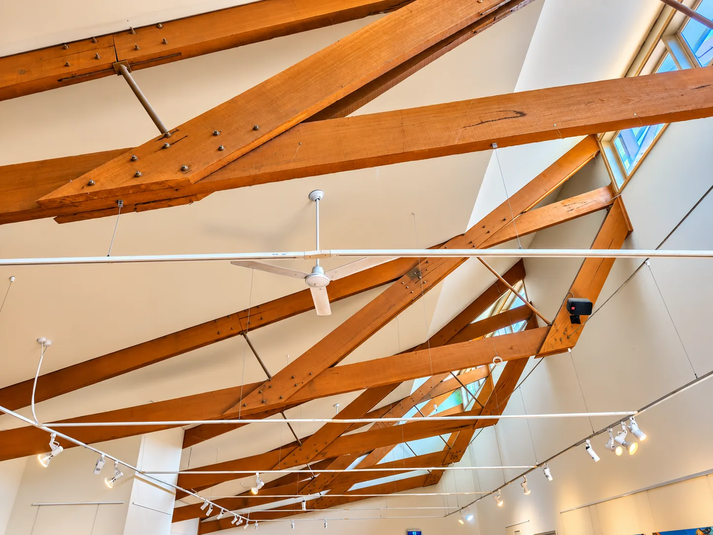 Timber roof trusses and skylights in a high gallery ceiling